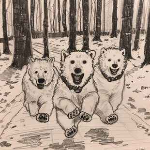 老司机漫画作者三分钟热度的玄幻搞笑漫画封面